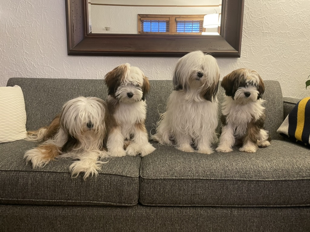 Folly's first family reunion back in Minneapolis