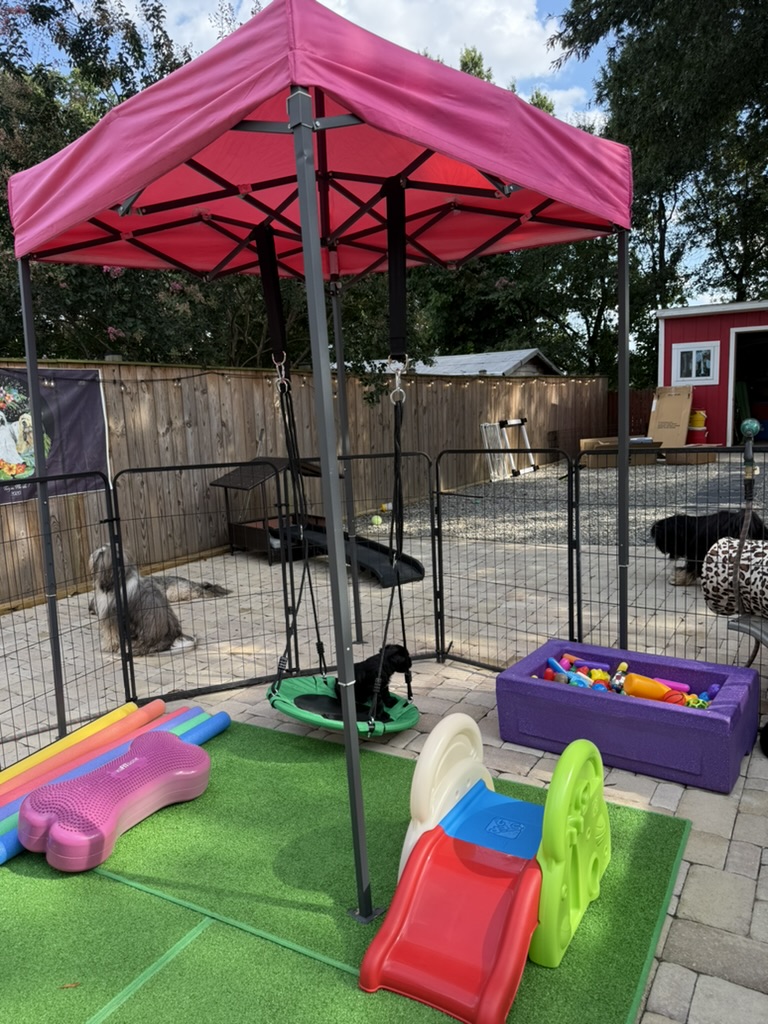 The outdoor puppy playground with canopy, swing, slide, and toys