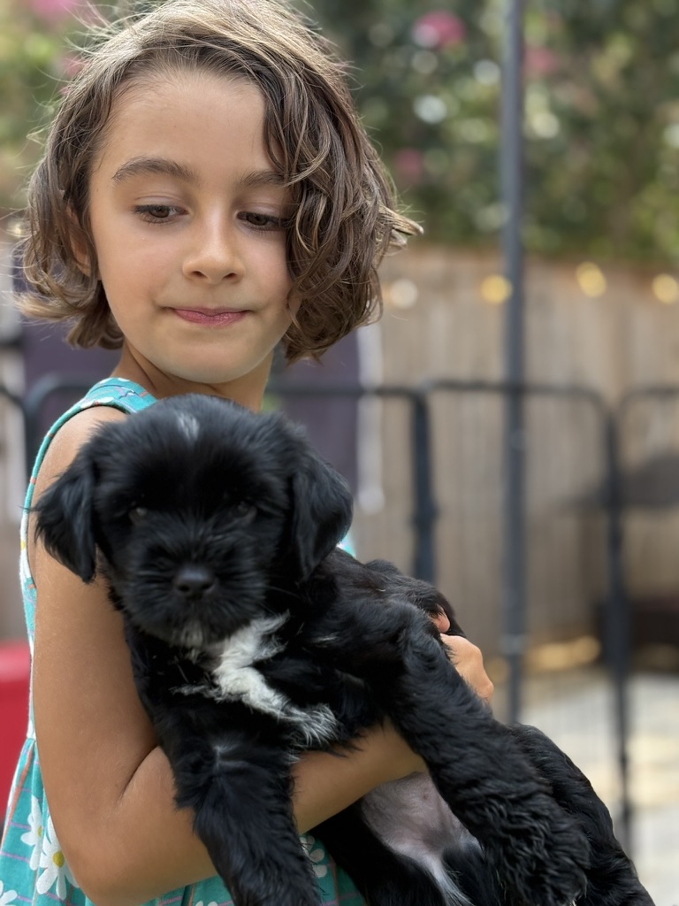 A young girl gently holding a black RockSteady puppy outdoors