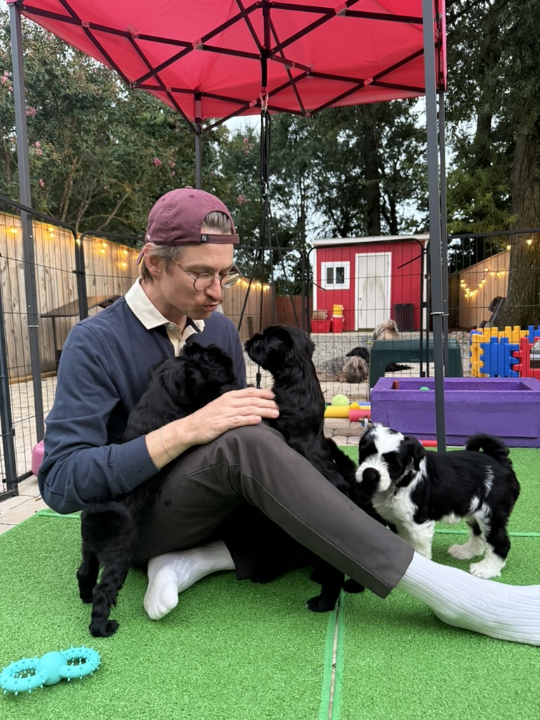 A girl holding a puppy close in the backyard at dusk