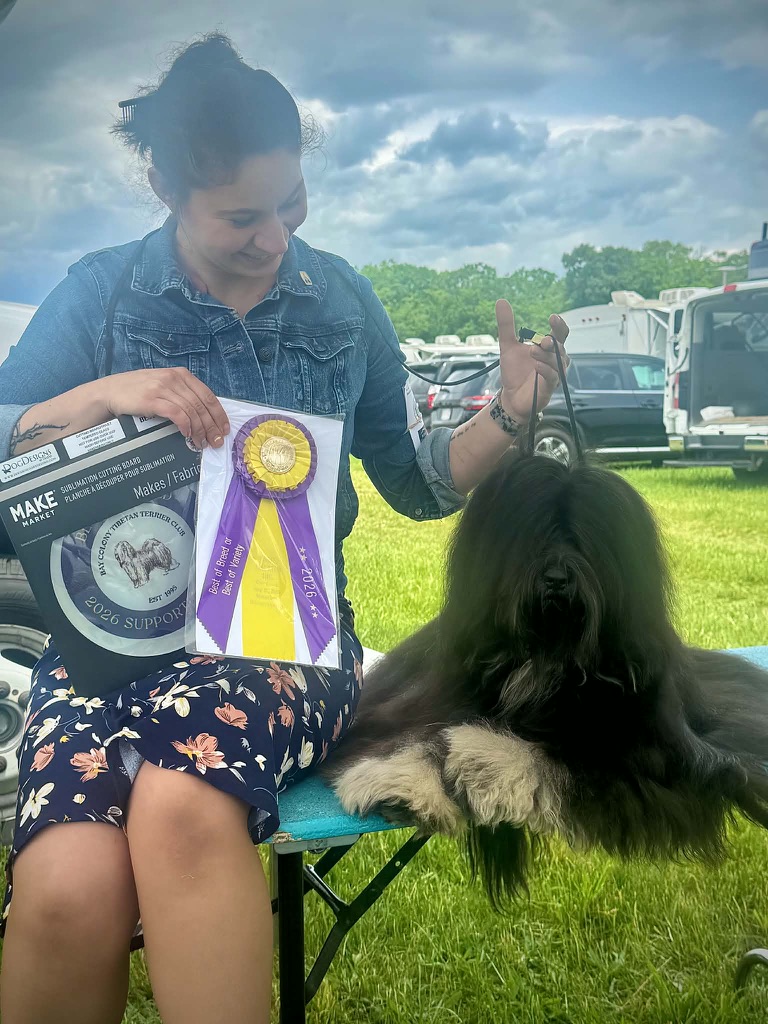 Elliott โ Best of Breed at the Bay Colony Tibetan Terrier Club