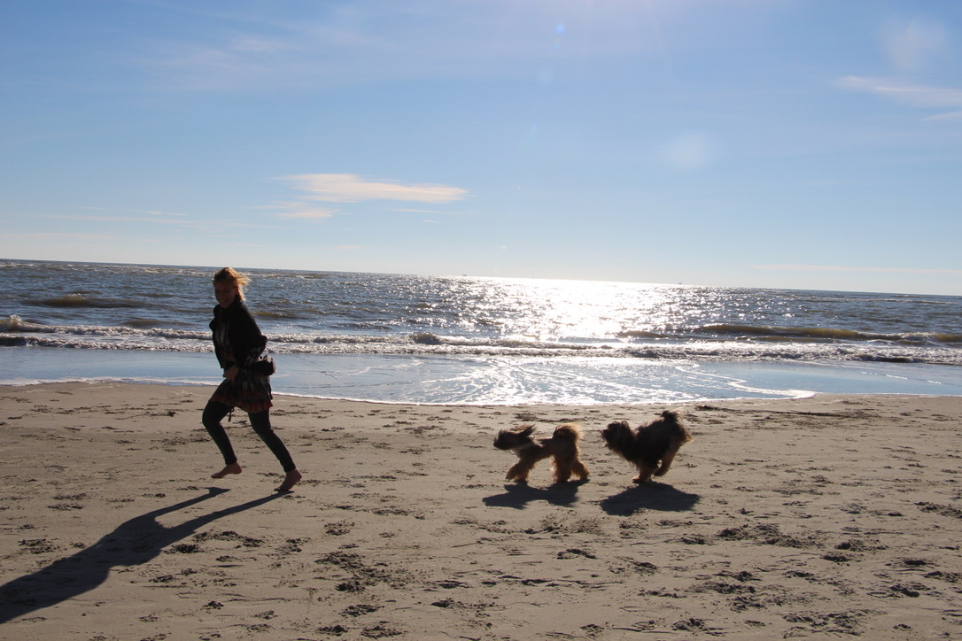 Deidre running on the beach with two dogs